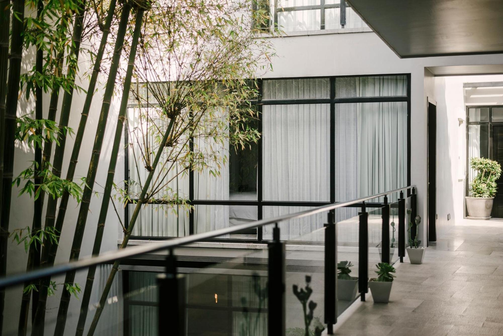 Hotel Matilda, A Member Of Design Hotels San Miguel de Allende Exterior foto