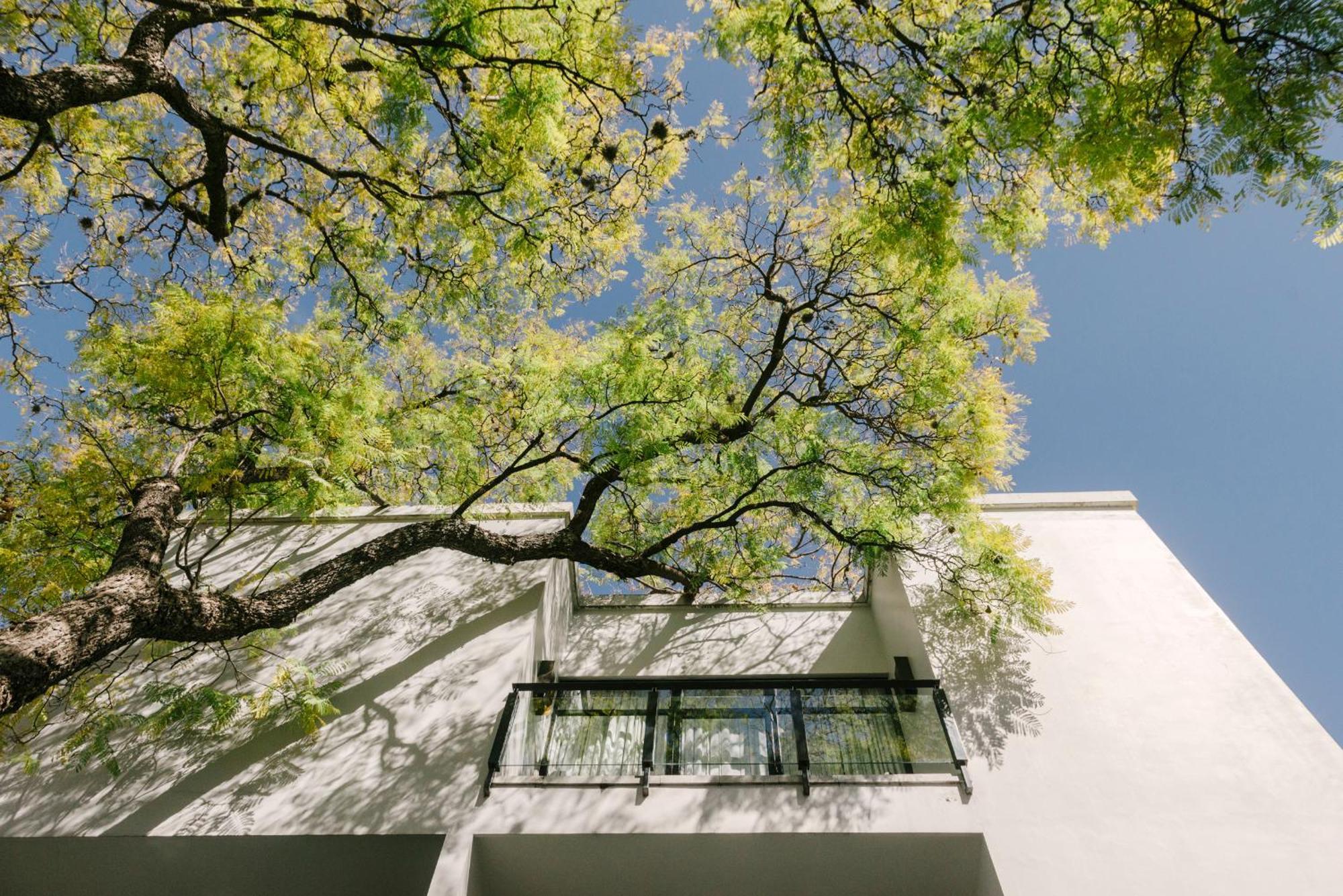 Hotel Matilda, A Member Of Design Hotels San Miguel de Allende Exterior foto